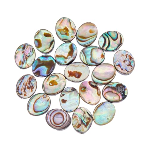 Hobbspring 20 Stück Natürliche Abalone Muschelperlen Paua Muschelperlen Flache Muschelperlen Ovale Abalone Muschelperlen Lose Abstandsperlen Für Die Herstellung von Ohrringen Halsketten Armbändern von Hobbspring