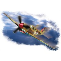 P-40M ´´Kitty hawk´´ von HobbyBoss