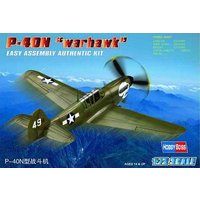 P-40N ´´Kitty hawk´´ von HobbyBoss