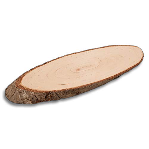 10x HOFMEISTER® Rustikales Rindenbrett zum Servieren, Dekorieren und Basteln, natürliche Holzscheibe, Länge ca. 30 cm von Hofmeister Holzwaren