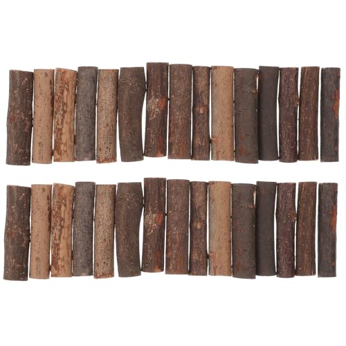 Hohopeti 50 Stück Natürlicher Stock Mini Birkenstäbchen Zum Basteln Rinde Vasen Mikrospielzeug Handdekor Diy-versorgung Diy Schulprojekte Sticks Eis Am Stiel Sticks Für Fotorequisiten Holz von Hohopeti