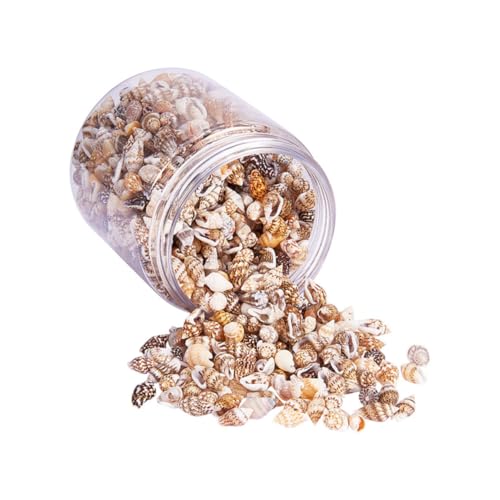 Hohopeti Natürliche Muschelperlen Für DIY Schmuck Ca 1300 1500 Pro Box Ohne Loch Ideal Für Strand Dekoration Charms Und Kreative Projekte Perfekt Für Themen Und von Hohopeti