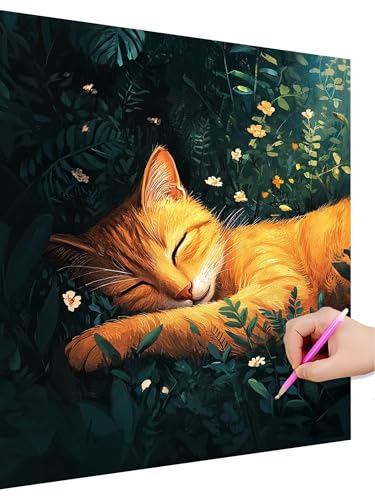 Diamond Painting Erwachsene Katze Set, Diamant Painting Kinder Anlage Anfänger Set, 5D DIY Daiments Malerei Basteln Erwachsene, Diamond-Painting Cross Stickerei Geschenk für Frauen Deko 30x40cm M-5 von Hoioeuug