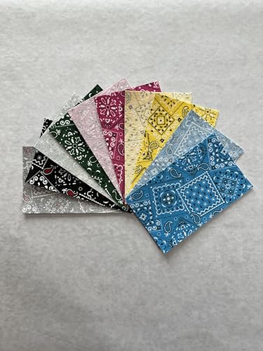 Dekorative Bandana-Aufnäher zum Aufbügeln, für Innen- und Außenbereich, 7,6 x 12,7 cm, 10 Stück (Sortiment 2) von HoleyPatches