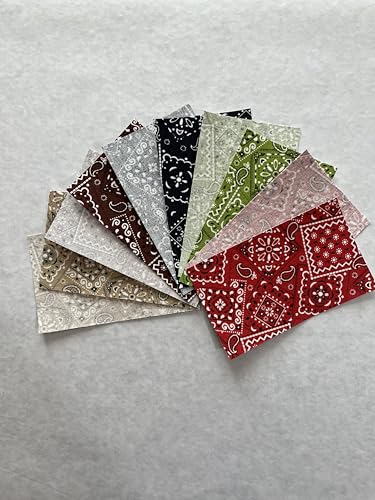 Dekorative Bandana-Aufnäher zum Aufbügeln, für Innen- und Außenbereich, 7,6 x 12,7 cm, 10 Stück von HoleyPatches