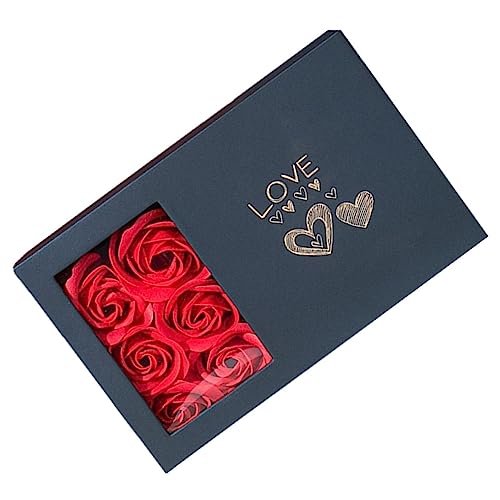 Holibanna 1 Set Box Verpackung Schmuckschatulle Schmuck Organizer Schmuck Verpackungsboxen Schmuckbehälter Kartentasche Andenken Schmuckhalter Schmuckschatullen Für Frauen von Holibanna