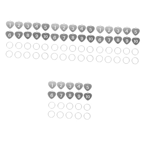 Holibanna 40 Stk Nummernschild Schlüsselbund etikett Karten nummerierter Schlüsselanhänger Schlüssel-Identifikations-Tag Schlüsselringe Schließfach-Tags Zahl Schlüsselanhänger Stahl von Holibanna
