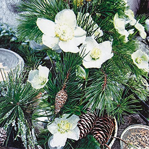 20 Servietten Winterrose und Zweige | Natur | Winter | Weihnachten | Tischdeko | Decoupage | Serviettentechnik 33x33cm von Home Fashion