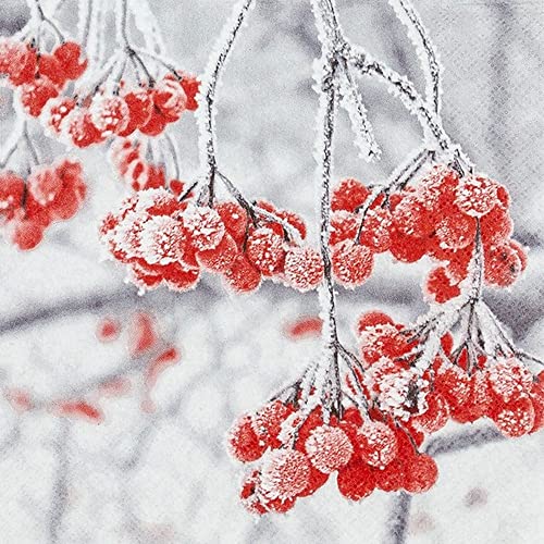 20 kleine Cocktail-Servietten Eisige Beeren | Natur | Weihnachten | Winter | Tischdeko | Decoupage | Serviettentechnik 25x25cm 20 kleine Cocktail-Servietten Eisige Beeren | Natur | Weihnachten | Winter | Tischdeko | Decoupage | Serviettentechnik 25x25cm von Home Fashion