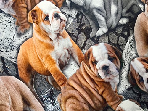 Viskose-Stoff mit Elasthan und Lycra, 4-Wege-dehnbar, mit Hundemotiv „Mürrische Bulldogge“, Tiermotiv, englische Bulldogge, amerikanischer Boxer, Meterware von HomeBuy