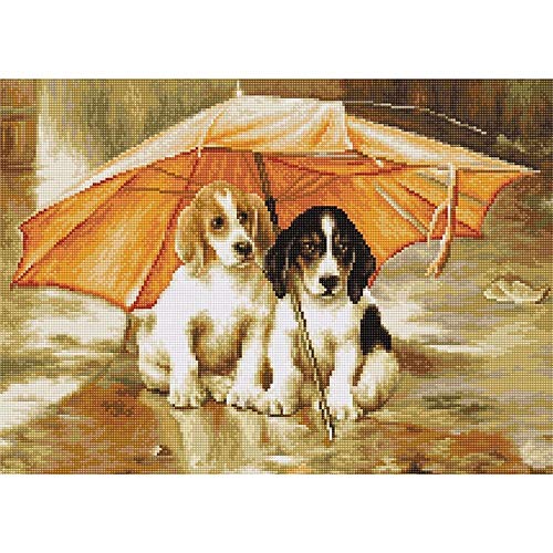 HomeHobbyArt Gobelin Stickpackung Hunde Tiere 21x15 cm komplettes Stickset zum Sticken Stickerei Set Stickmuster Zählmuster Handarbeit Stickvorlage Bild embroidery von HomeHobbyArt