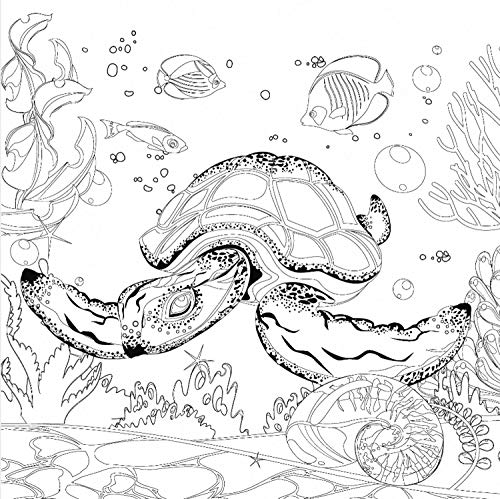 Honsell 12124 - Keilrahmen mit Wasserschildkröten Motiv, Format 30 x 30 cm, Vorgedrucktes Motiv zum Ausmalen mit Acryl-, Aquarell- und Ölfarben und Filz- und Farbstifte von Honsell