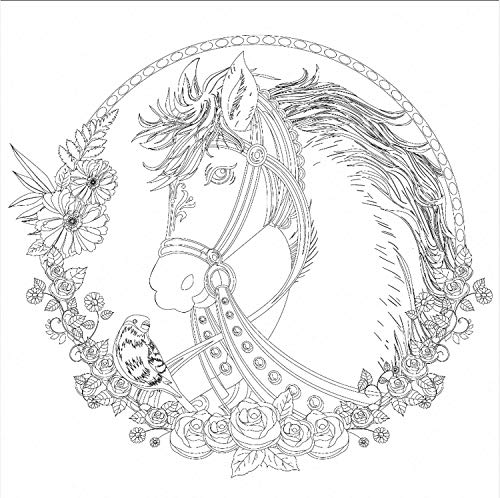 Honsell 12132 - Keilrahmen mit Pferde Motiv, Format 30 x 30 cm, Vorgedrucktes Motiv zum Ausmalen mit Acryl-, Aquarell- und Ölfarben und Filz- und Farbstifte von Honsell