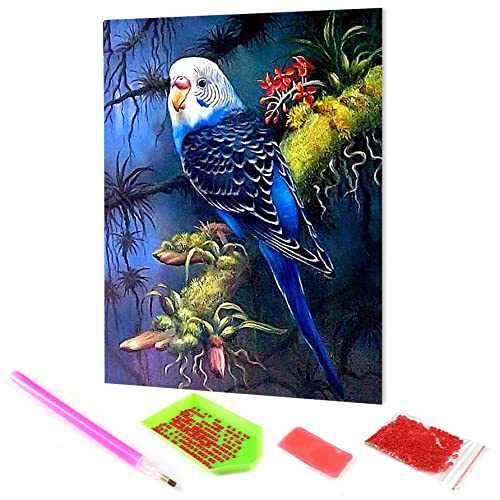 Hoobee 5D Diamant Painting Bilder Vogel, Diamond Painting Bilder Tier, Vollbohrer Stickerei Kreuzstich Kunst Handwerk für Zuhause Wanddekoration (30×40 cm) von Hoobee