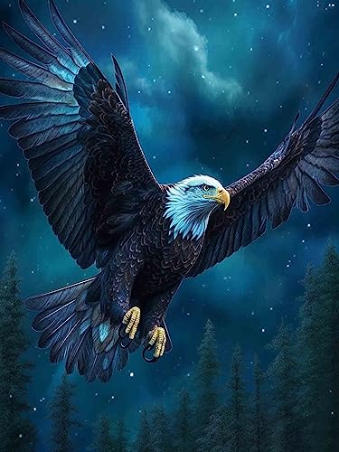 Hoobee 5D Diamond Painting Adler, Diamond Painting Bilder Vogel, Diamond Painting Erwachsene Tier, Vollbohrer Stickerei Kreuzstich Kunst Handwerk für Zuhause Wanddekoration (30×40 cm)-144 von Hoobee