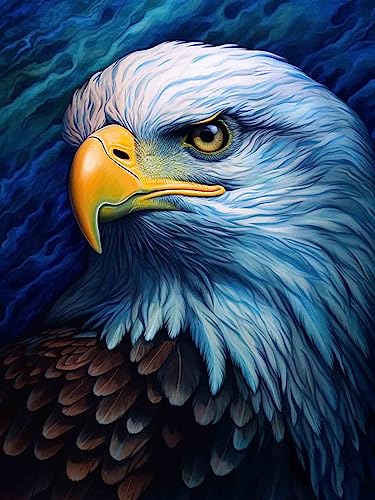 Hoobee 5D Diamond Painting Adler, Diamond Painting Bilder Vogel, Diamond Painting Erwachsene Tier, Vollbohrer Stickerei Kreuzstich Kunst Handwerk für Zuhause Wanddekoration (30×40 cm)-145 von Hoobee