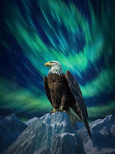 Hoobee 5D Diamond Painting Adler, Diamond Painting Bilder Vogel, Diamond Painting Erwachsene Tier, Vollbohrer Stickerei Kreuzstich Kunst Handwerk für Zuhause Wanddekoration (40×50 cm)-156 von Hoobee