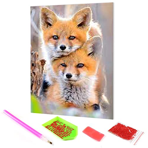 Hoobee 5D Diamond Painting DIY Set Fuchs, Diamond Painting Bilder Tier, Diamond Painting Fuchs, Vollbohrer Stickerei Kreuzstich Kunst Handwerk für Zuhause Wanddekoration (30×40 cm) von Hoobee