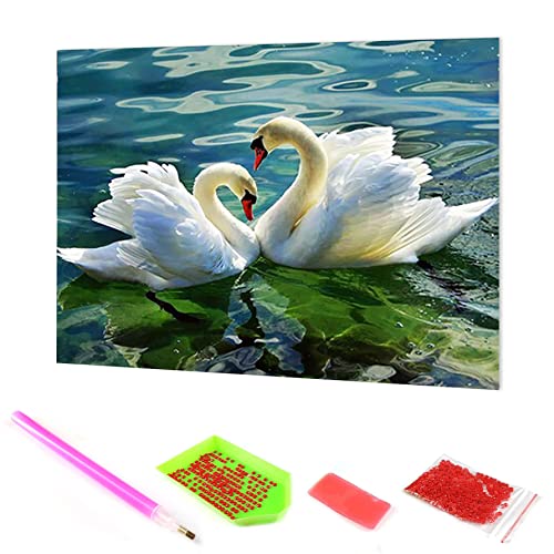 Hoobee 5D Diamond Painting DIY Set Schwan, Diamond Painting Bilder See, Vollbohrer Stickerei Kreuzstich Kunst Handwerk für Zuhause Wanddekoration (30×40 cm) von Hoobee