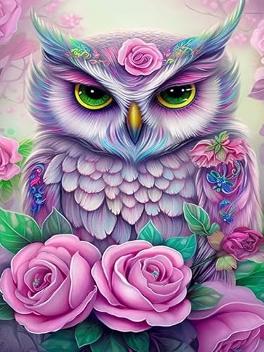 Hoobee 5D Diamond Painting Eule, Diamond Painting Bilder Tier, Diamond Painting Erwachsene, Vollbohrer Stickerei Kreuzstich Kunst Handwerk für Zuhause Wanddekoration (30×40 cm) von Hoobee