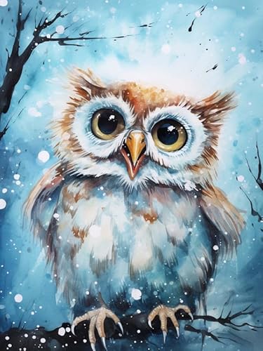 Hoobee 5D Diamond Painting Eule, Diamond Painting Bilder Vogel, Diamond Painting Erwachsene, Vollbohrer Stickerei Kreuzstich Kunst Handwerk für Zuhause Wanddekoration 30×40 cm-88 von Hoobee