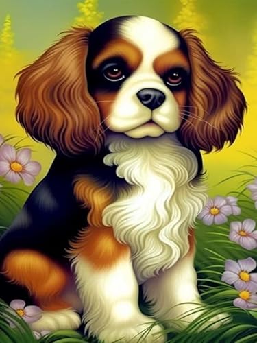 Hoobee 5D Diamond Painting Hund, Diamond Painting Bilder Tier, Diamond Painting Erwachsene, Vollbohrer Stickerei Kreuzstich Kunst Handwerk für Zuhause Wanddekoration (30×40 cm) von Hoobee