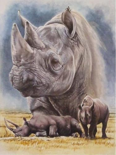 Hoobee 5D Diamond Painting Nashorn, Diamond Painting Bilder Tier, Diamond Painting Erwachsene, Vollbohrer Stickerei Kreuzstich Kunst Handwerk für Zuhause Wanddekoration 30×40 cm-7 von Hoobee