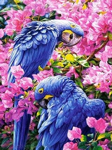 Hoobee 5D Diamond Painting Vogel, Diamond Painting Bilder Tier, Diamond Painting Erwachsene, Vollbohrer Stickerei Kreuzstich Kunst Handwerk für Zuhause Wanddekoration 30×40 cm-4 von Hoobee