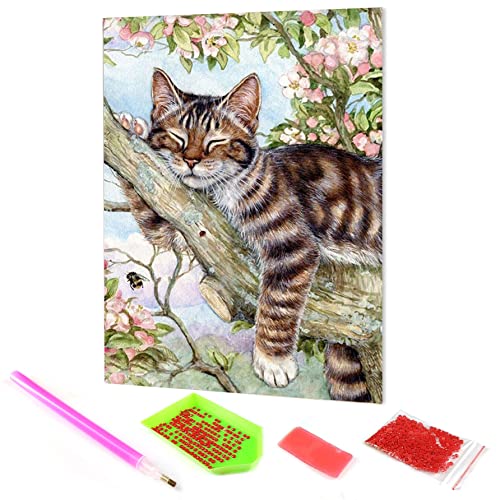 Hoobee DIY 5D Diamond Painting Set, Diamant Painting Bilder Katze, Diamond Painting Tier, Vollbohrer Stickerei Kreuzstich Kunst Handwerk für Zuhause Wanddekoration (30×40 cm) von Hoobee