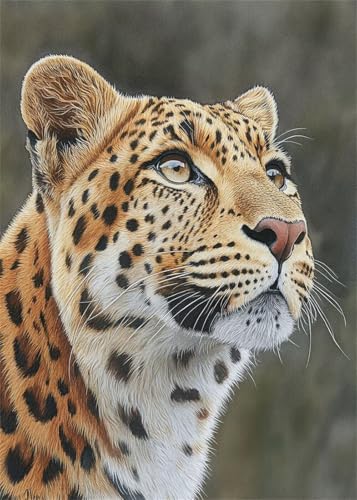Diamond Painting Kinder Leopard, Diamant Painting Bilder Tier DIY Eckige Steine Diamant Kunst Malerei Kits, 5D Mosaikherstellung Bastelset Erwachsene für Aesthetic Room Decor Geschenke 20x30 cm X4-987 Diamond Painting Kinder Leopard, Diamant Painting Bilder Tier DIY Eckige Steine Diamant Kunst Malerei Kits, 5D Mosaikherstellung Bastelset Erwachsene für Aesthetic Room Decor Geschenke 20x30 cm X4-987 von Hooixaag