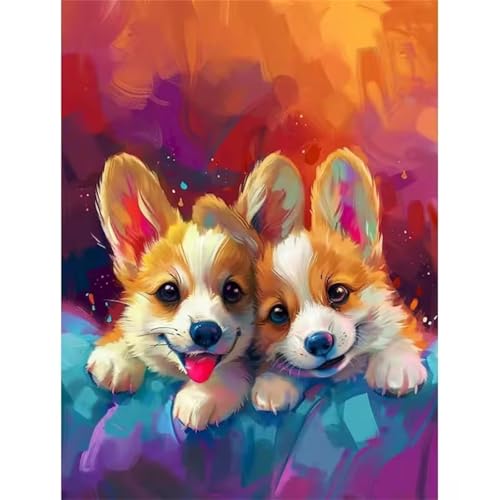 Hoonjiin Malen Nach Zahlen Erwachsene,Corgi-Hunde Anfänger Acrylfarben Paint by Numbers,Tiere Handgemalt Ölgemälde Leinwand Kits Als Geschenk für Wanddeko 55x70cm(Mit Rahmen) von Hoonjiin