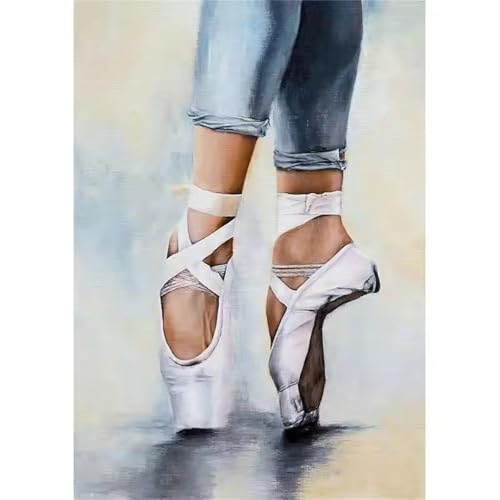 Hoonjiin Malen Nach Zahlen Erwachsene,DIY Ballett Schuhe Acrylfarbe Malen Nach Zahlen AnfäNger Set,50x65cm（Ohne Rahmen） von Hoonjiin