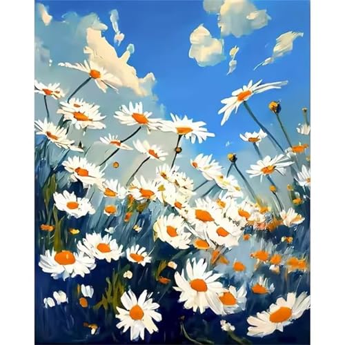 Hoonjiin Malen Nach Zahlen Erwachsene,DIY Gänseblümchen Sicht Acrylfarbe Malen Nach Zahlen AnfäNger Set,45x60cm（Ohne Rahmen） von Hoonjiin