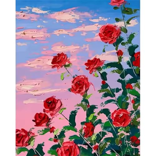 Hoonjiin Malen Nach Zahlen Erwachsene,DIY Himmel Rote Rose Acrylfarbe Malen Nach Zahlen AnfäNger Set,30x40cm（Ohne Rahmen） von Hoonjiin