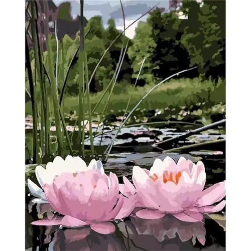 Hoonjiin Malen Nach Zahlen Erwachsene,DIY Rosa Lotus Teich Acrylfarbe Malen Nach Zahlen AnfäNger Set,55x70cm（Ohne Rahmen） von Hoonjiin