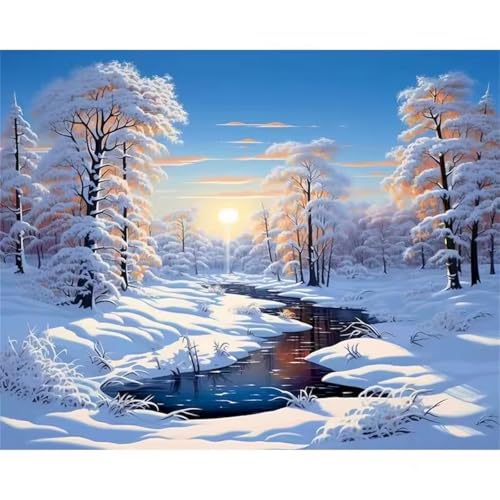 Hoonjiin Malen Nach Zahlen Erwachsene,DIY Schnee Landschaft Acrylfarbe Malen Nach Zahlen AnfäNger Set,30x40cm（Ohne Rahmen） von Hoonjiin