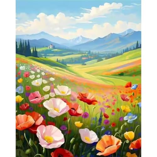 Hoonjiin Malen Nach Zahlen Erwachsene,Farbige Mohnblumen Anfänger Acrylfarben Paint by Numbers,Berg Handgemalt Ölgemälde Leinwand Kits Als Geschenk für Wanddeko 30x40cm(Mit Rahmen) von Hoonjiin