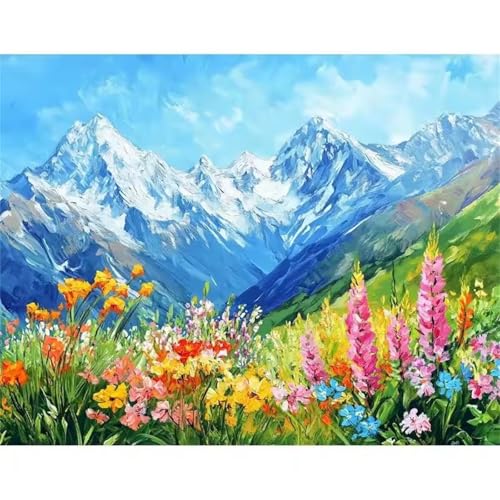 Hoonjiin Malen Nach Zahlen Erwachsene,Schneebedeckter Berg Anfänger Acrylfarben Paint by Numbers,Blumen Handgemalt Ölgemälde Leinwand Kits Als Geschenk für Wanddeko 30x55cm(Mit Rahmen) von Hoonjiin