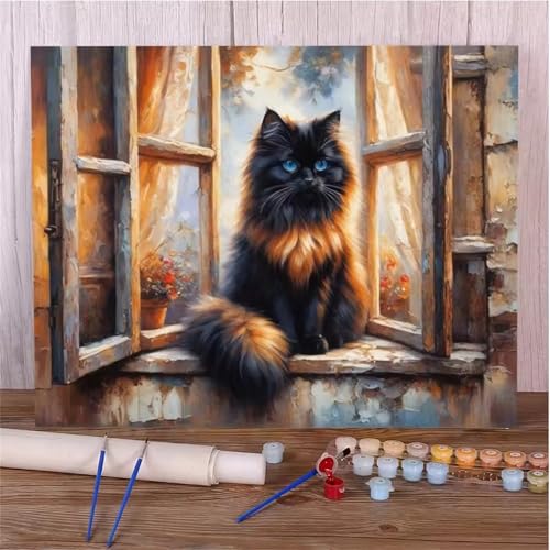 Hoonjiin Malen Nach Zahlen Erwachsene,Schwarze Katze Anfänger Acrylfarben Paint by Numbers,Fenster Handgemalt Ölgemälde Leinwand Kits Als Geschenk für Wanddeko 55x70cm(Mit Rahmen) von Hoonjiin