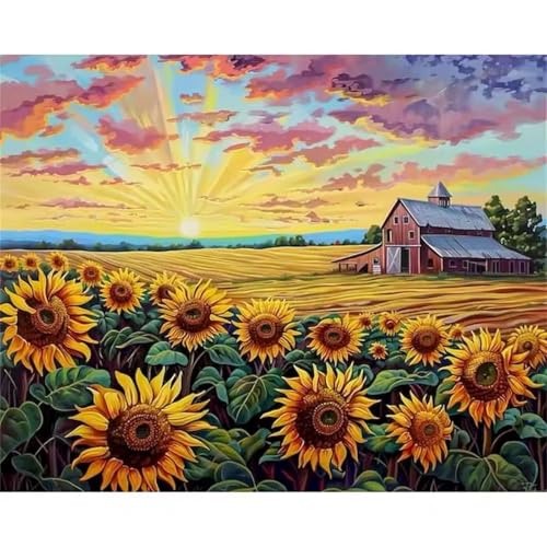 Hoonjiin Malen Nach Zahlen Erwachsene,Sonnenblume Anfänger Acrylfarben Paint by Numbers,Sonnenuntergang Feld Handgemalt Ölgemälde Leinwand Kits Als Geschenk für Wanddeko 60x75cm(Mit Rahmen) von Hoonjiin