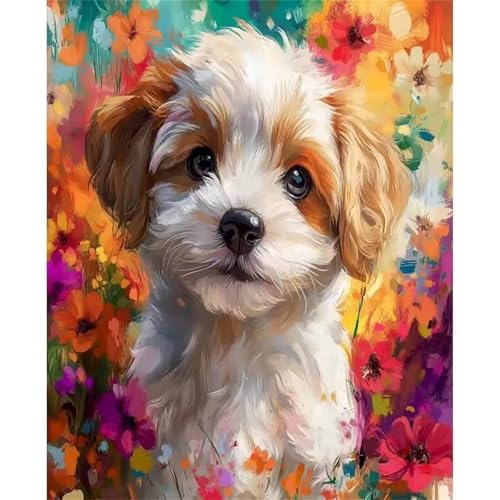 Hoonjiin Malen Nach Zahlen Erwachsene,Süßer Hund Anfänger Acrylfarben Paint by Numbers,Blume Handgemalt Ölgemälde Leinwand Kits Als Geschenk für Wanddeko 55x70cm(Mit Rahmen) von Hoonjiin