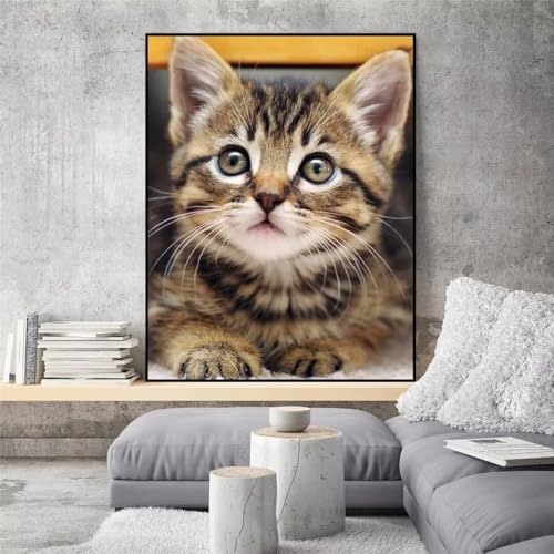 Hoonjiin Niedliches Tier Diamond Painting Erwachsene,5D Katze DIY Diamant Painting Bilder,Full Round Drill Diamant Malerei Set Wanddekoration - 40x70cm von Hoonjiin