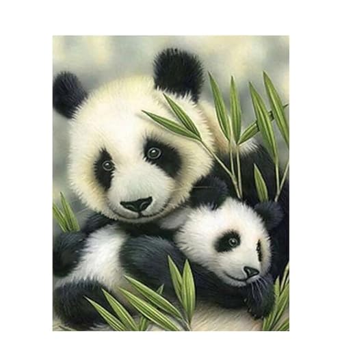 Hoonjiin Paint by Numbers Kits Panda Bambus DIY Handgemalt Ölgemälde Leinwand Kits,Anfänger Paint by Numbers Malen Nach Zahlen Erwachsene zur Heimdekoration,rahmenlos 20x30cm von Hoonjiin