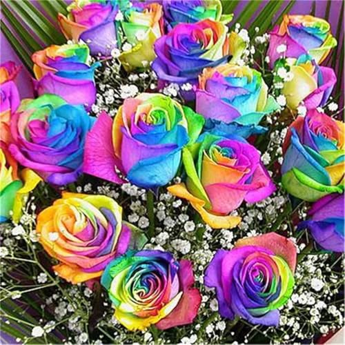 Hoonjiin Rosen bunt Diamond Painting,5D DIY Blume Diamant Painting Bilder,Diamond Painting Set für Erwachsene,für Geschenk Zuhause Wanddekoration - Square Drill,90x90cm von Hoonjiin