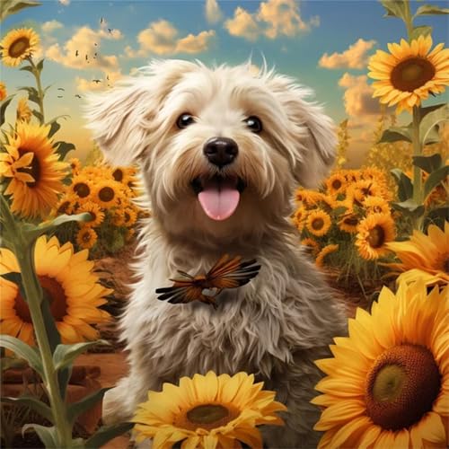 Hoonjiin Sonnenblume Tier Diamond Painting Erwachsene,5D Hund DIY Diamant Painting Bilder,Full Round Drill Drill Diamant Malerei Set Wanddekoration - 40x40cm von Hoonjiin