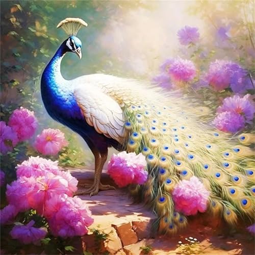 Hoonjiin Sonnenschein-Pfau Diamond Painting,5D DIY Blume Diamant Painting Bilder,Diamond Painting Set für Erwachsene,für Geschenk Zuhause Wanddekoration Square Drill - 70x70cm von Hoonjiin