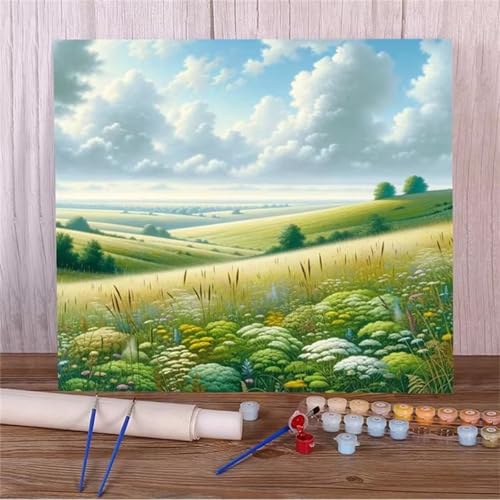 Malen Nach Zahlen Erwachsene,DIY Grüne Wiese Paint by Numbers Kit mit Pinseln und Acrylfarben Handgemalt Ölgemälde Leinwand für Home Decor Mit Rahmen - 40x40cm von Hoonjiin