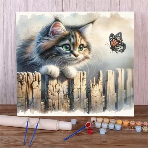 Malen Nach Zahlen Erwachsene,DIY Katzenschmetterling Paint by Numbers Kit mit Pinseln und Acrylfarben Handgemalt Ölgemälde Leinwand für Home Decor Mit Rahmen - 30x30cm von Hoonjiin