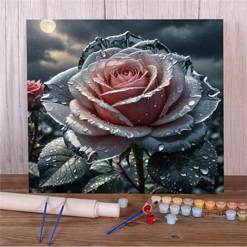 Malen Nach Zahlen Erwachsene,DIY Rosenmond Paint by Numbers Kit mit Pinseln und Acrylfarben Handgemalt Ölgemälde Leinwand für Home Decor Mit Rahmen - 30x30cm von Hoonjiin