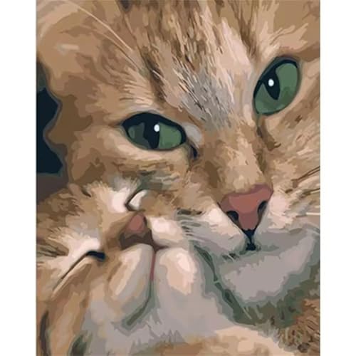 Orange Katze Malen nach Zahlen Erwachsene,Paint by Numbers kits for Adult,DIY Leinwand Acrylfarbe Handgemalt Ölgemälde für Home Wand Décor Geschenk,mit rahmen 30x50cm von Hoonjiin